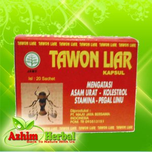 kapsul tawon liar- azhim herbal